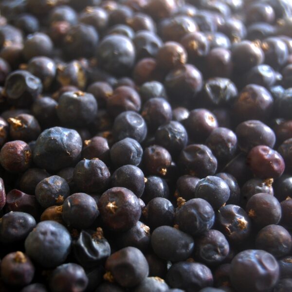 bilberries