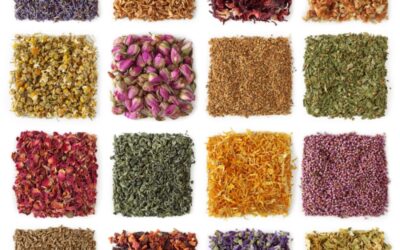 Using our herbs for horses