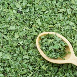 Nettle Leaf with spoon