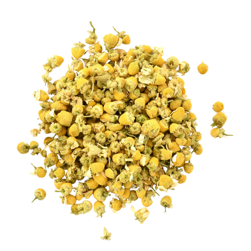 chamomile-transp Chamomile (Matricaria recutita flowers)