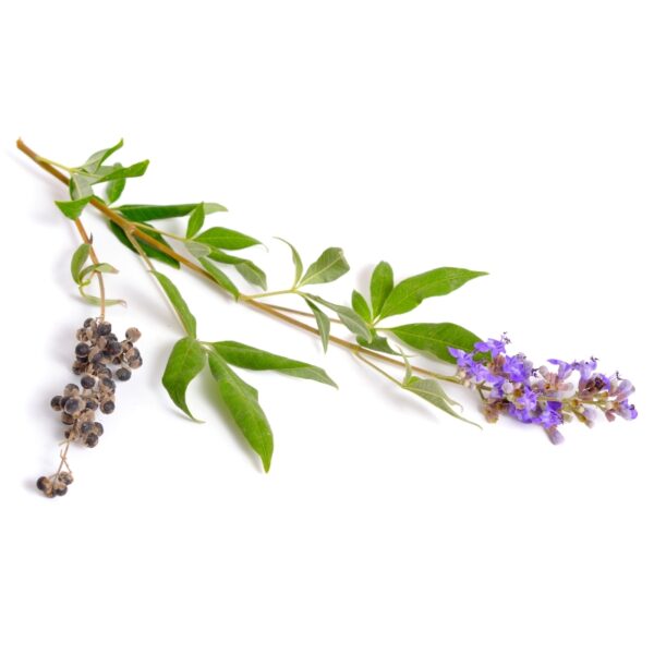 Chaste Tree Berries