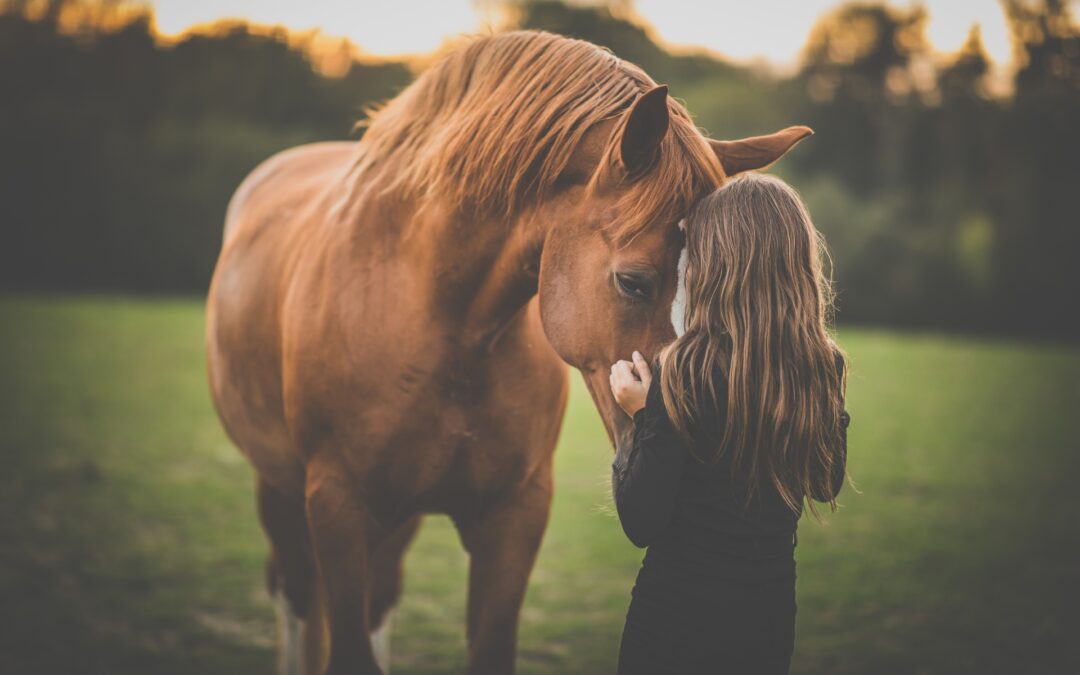 What minerals does a horse need?